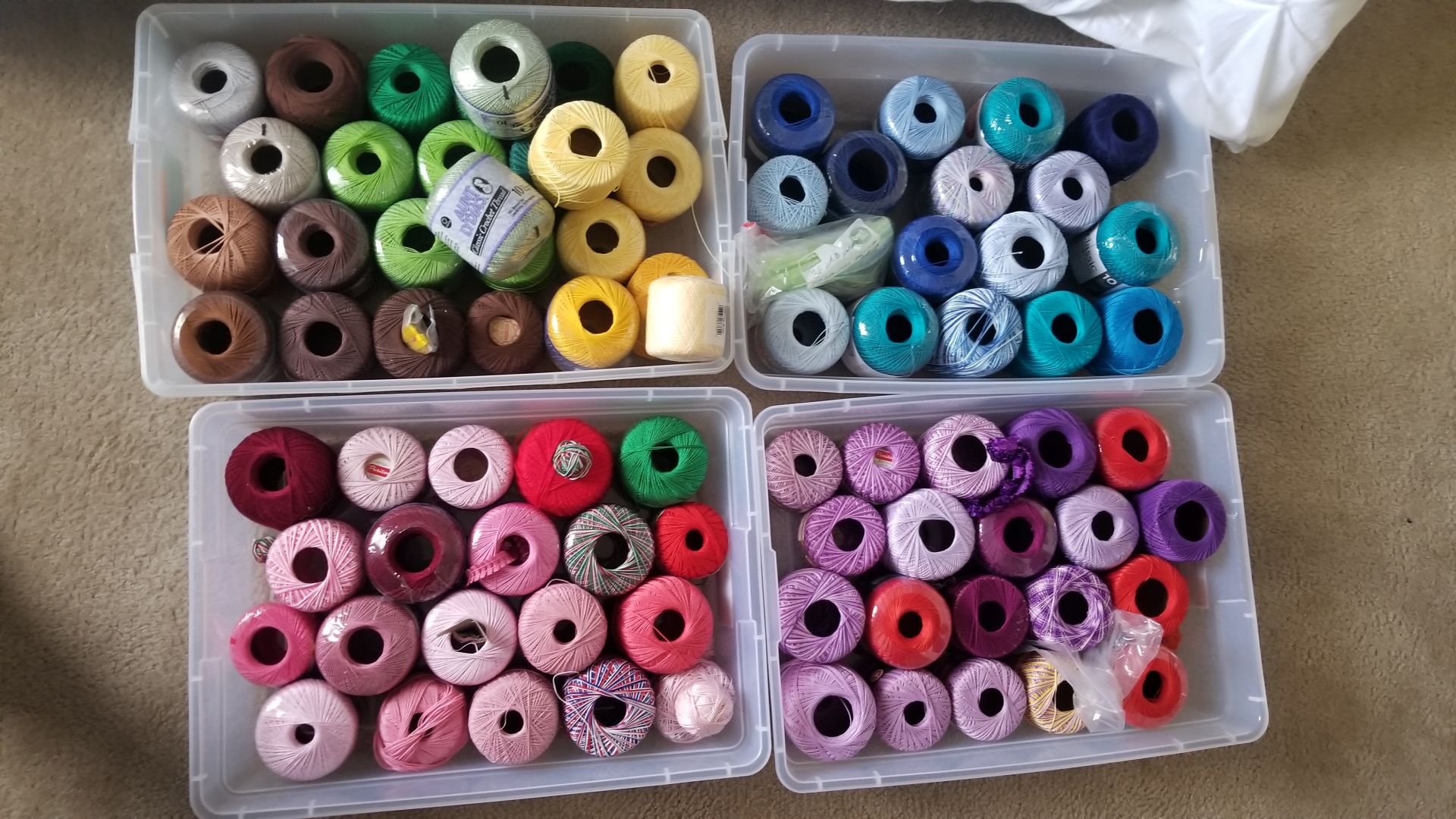 Ricky Konshak yarn.jpg